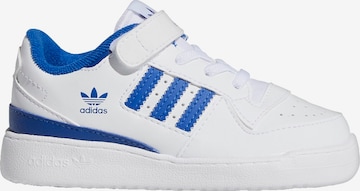 ADIDAS ORIGINALS Sneakers 'Forum Low' i hvid