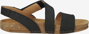 EL NATURALISTA Sandals in Black