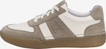 JOSEF SEIBEL Sneaker 'Claire 27' in Beige: Vorderseite
