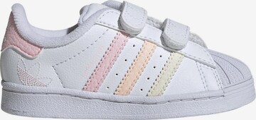 ADIDAS ORIGINALS Sneaker ' Superstar  ' in Weiß