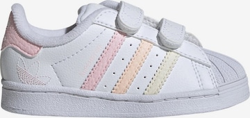 ADIDAS ORIGINALS Sneakers ' Superstar  ' in White