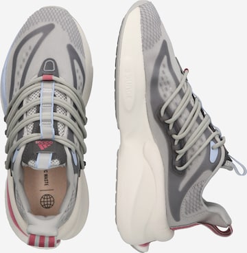 Chaussure de course 'Alphaboost V1' ADIDAS SPORTSWEAR en gris