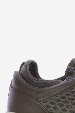 ECCO Sneakers & Trainers in 41 in Green