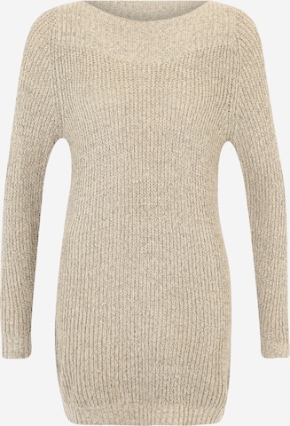 JDY Petite - Vestido de punto 'JDYWHITNEY MEGAN' en gris: frente