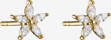 Thomas Sabo Ohrringe in Gelb: Vorderseite