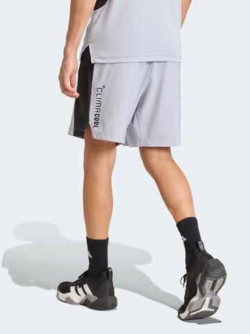 ADIDAS PERFORMANCE - regular Pantalón deportivo en plata