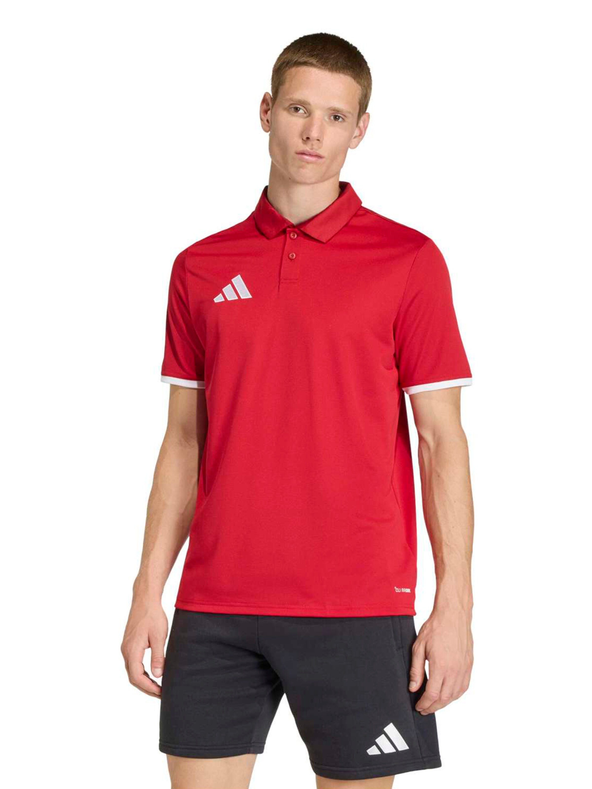 ADIDAS PERFORMANCE Performance shirt 'ENT26' in Red: front