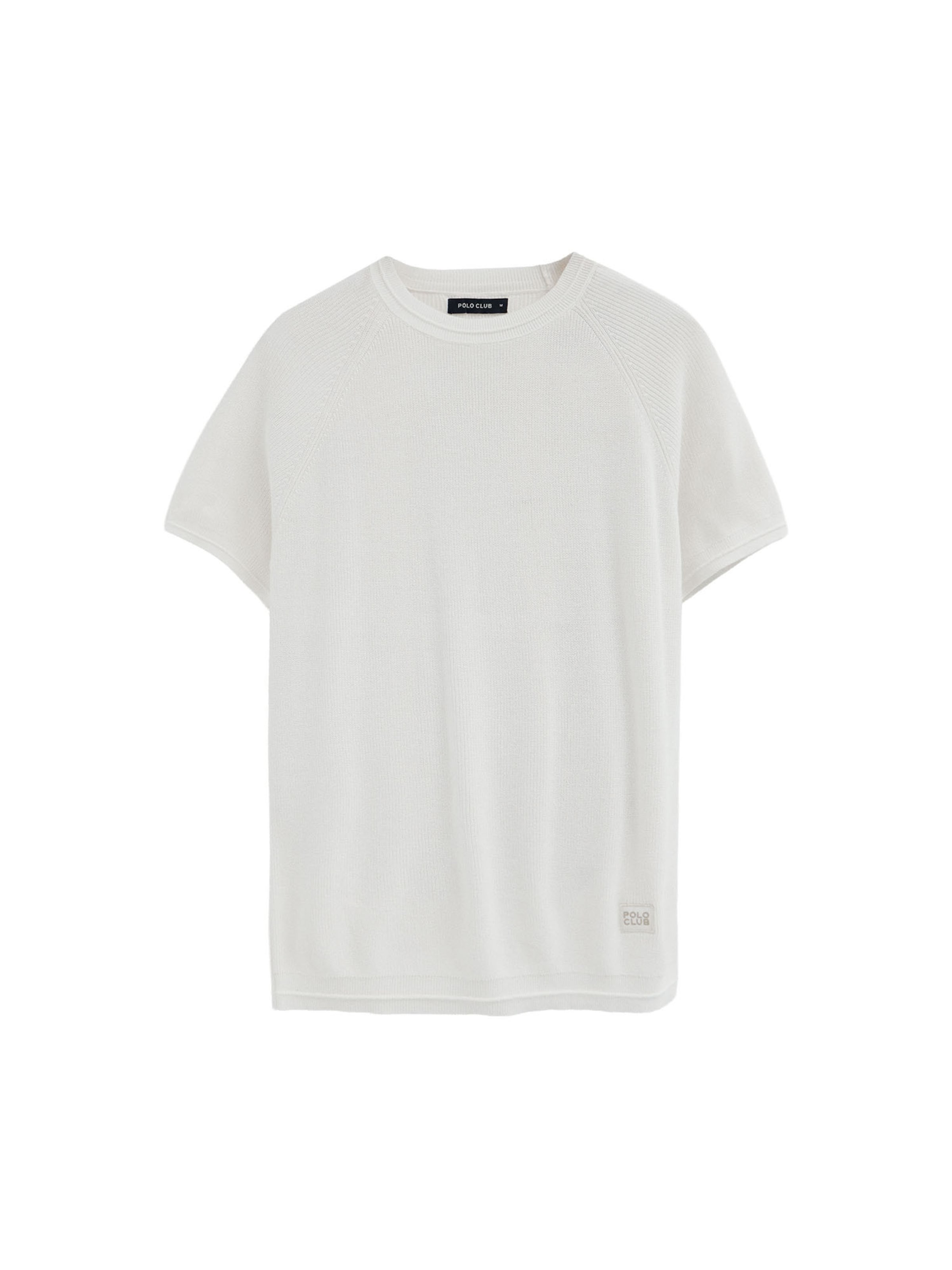Polo Club Pullover 'EZZE ' in Weiß: Vorderseite