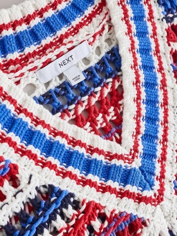 Next Pullover in Mischfarben