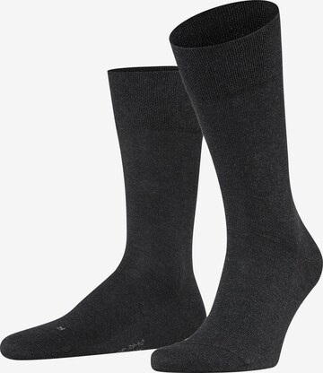 FALKE Socks 'Sensitive London' in Grey: front