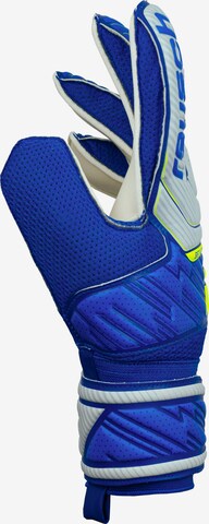 REUSCH Athletic Gloves 'Attrakt Solid' in Blue