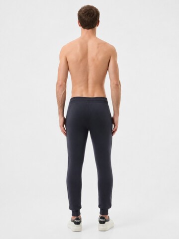 Boxeur des Rues Regular Sports trousers 'Herren Jogginghose Boxeur des Rues mit Kordelzug und Bündchen, Anthrazit, Metallisches vertikales Logo, Baumwolle' in Grey