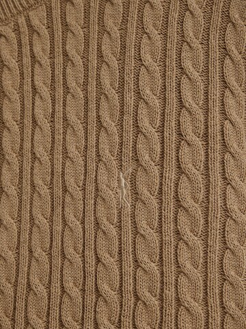 Polo Club Pullover in Braun