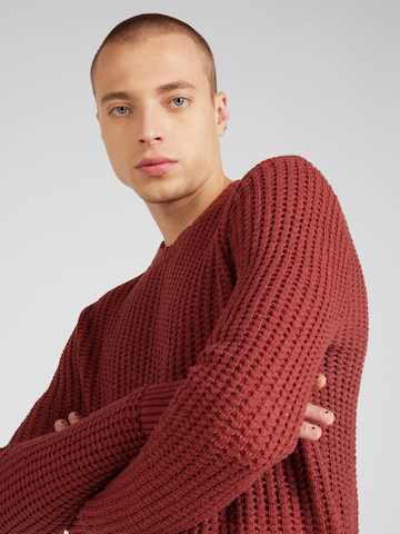 raudona HOLLISTER Megztinis