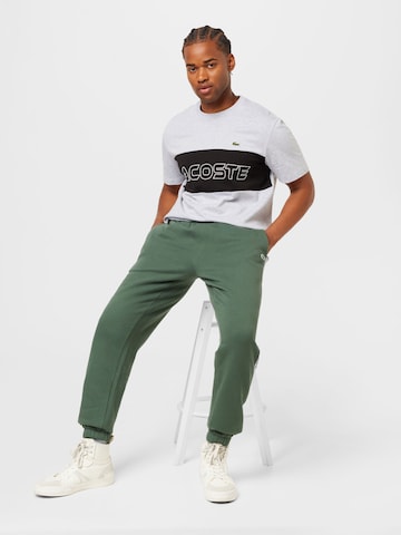 LACOSTE Tapered Hose in Grün