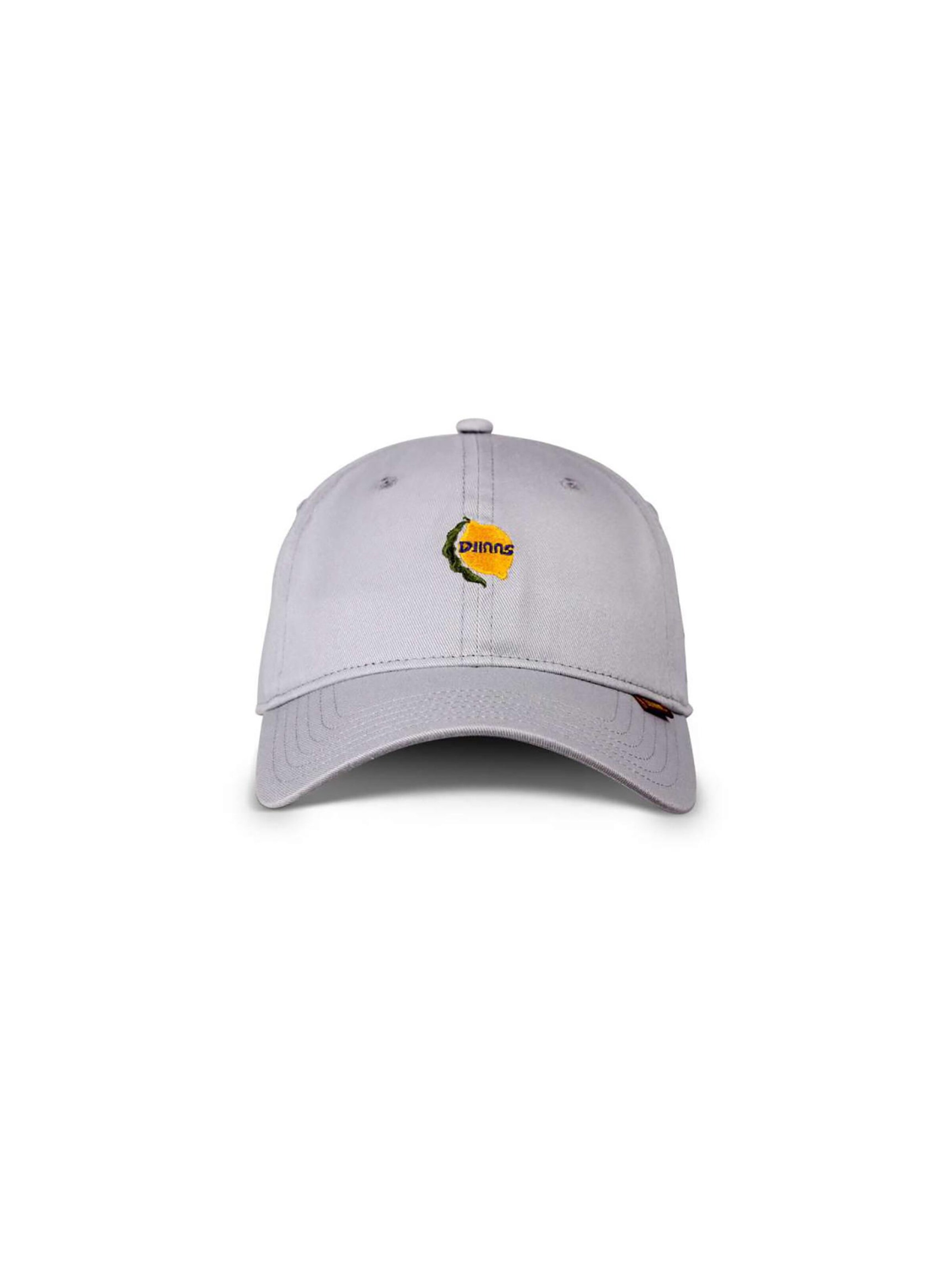 DJINNS Cap 'Bitter' in Grey: front