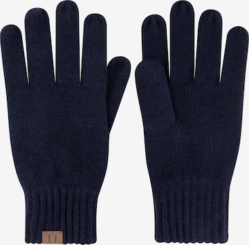 normani Fingerhandschuhe in Blau: Vorderseite