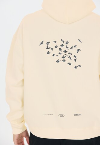 Virtus Kapuzensweater 'Brody' in Beige