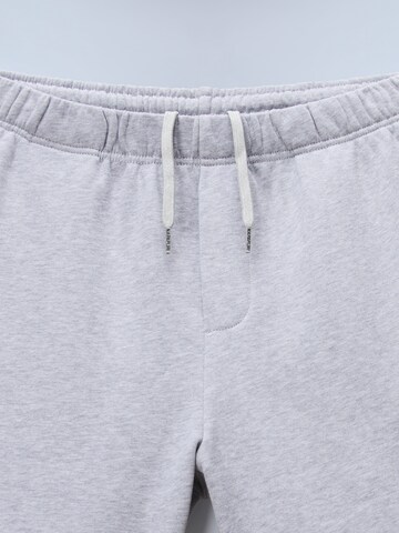 NAPAPIJRI regular Παντελόνι 'N-BOX LOGO CARGO' σε γκρι