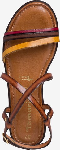 Sandalo con cinturino di TAMARIS in marrone