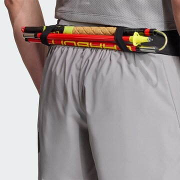 ADIDAS TERREX - regular Pantalón de montaña 'Xperior' en gris