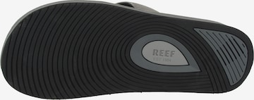REEF Schuh in Grau