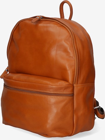 Gave Lux Backpack in Brown: front