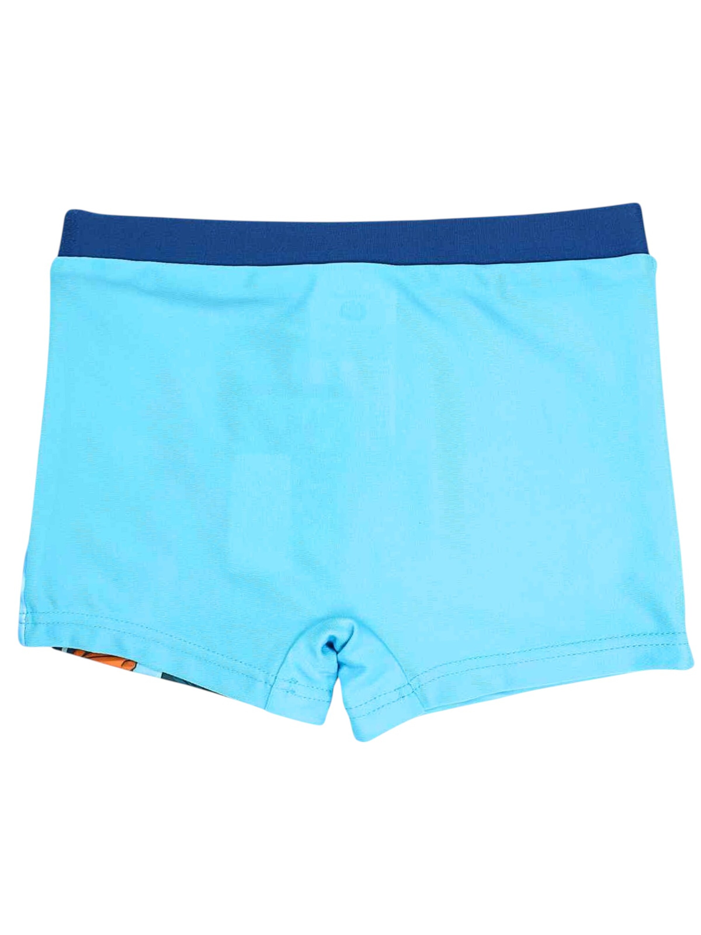 Dragon Ball Board Shorts 'Dragon Ball' in Blue