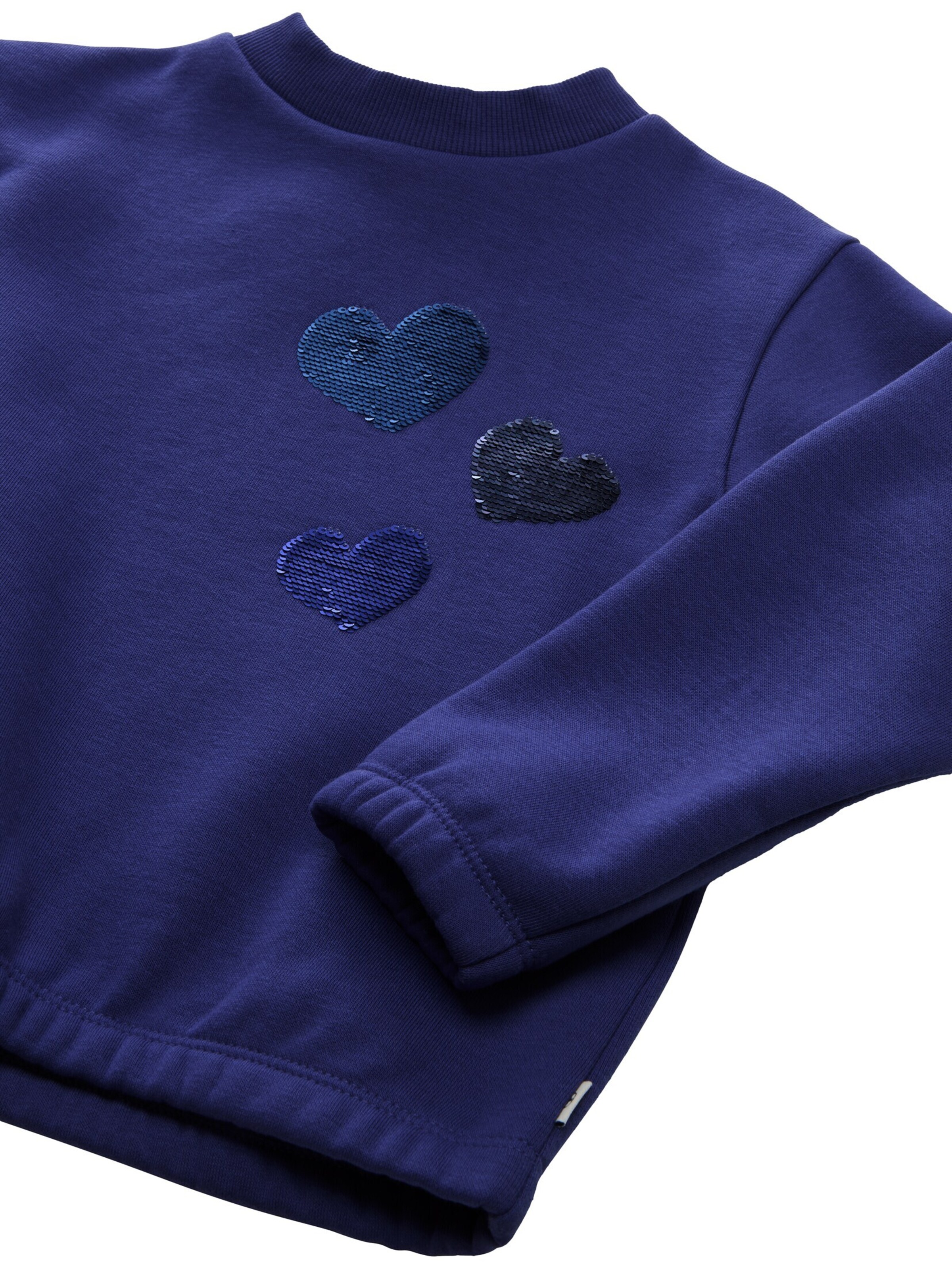 TOM TAILOR Sweatshirt in Blue
