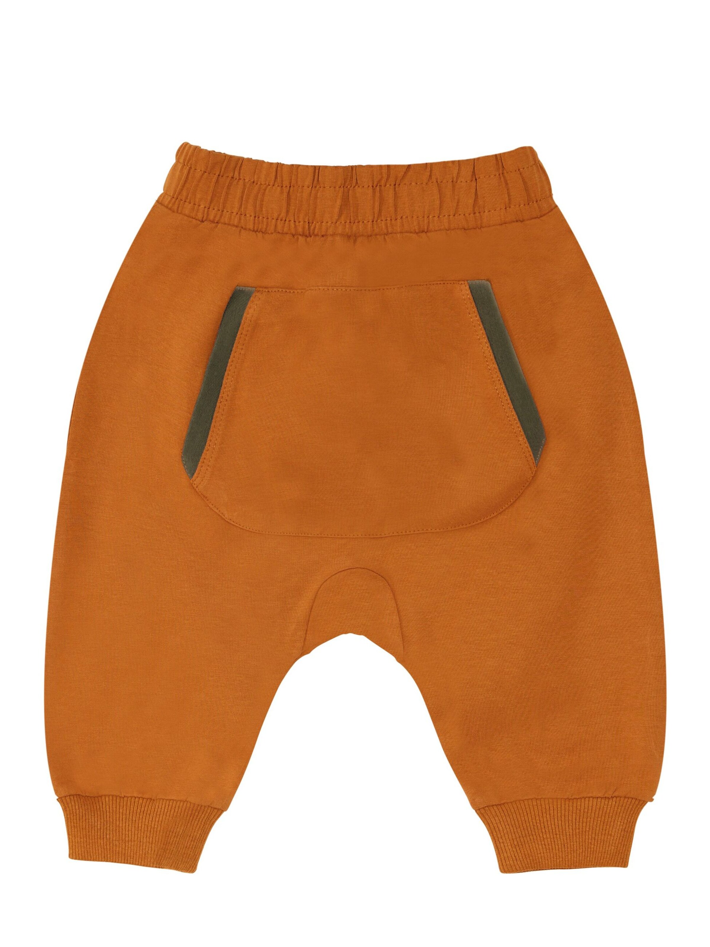 Denokids Tracksuit 'Roar Tiger' in Green