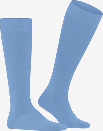 FALKE Knee High Socks 'Energizing Wool' in Blue: front