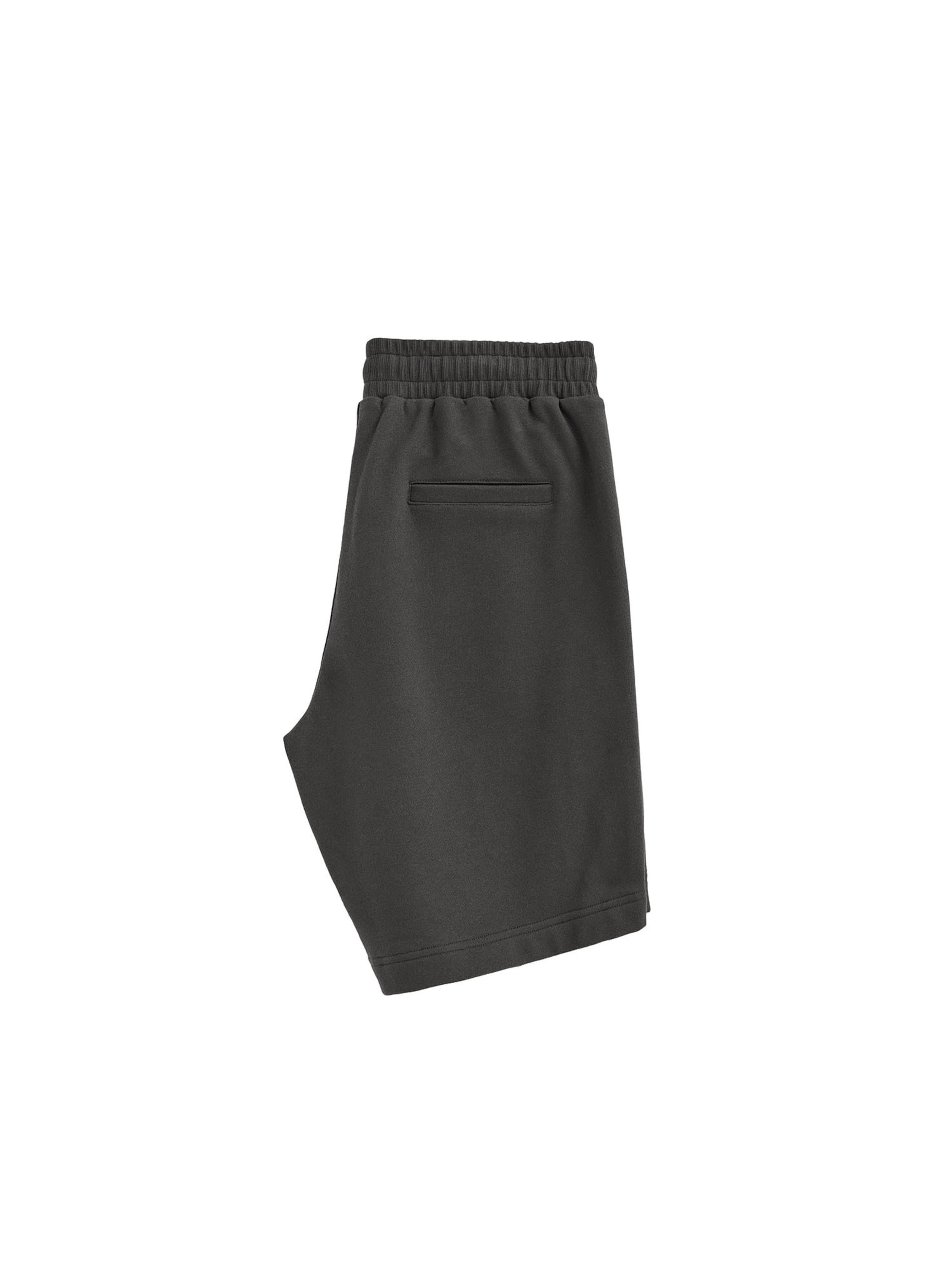 Polo Club Regular Pants in Grey