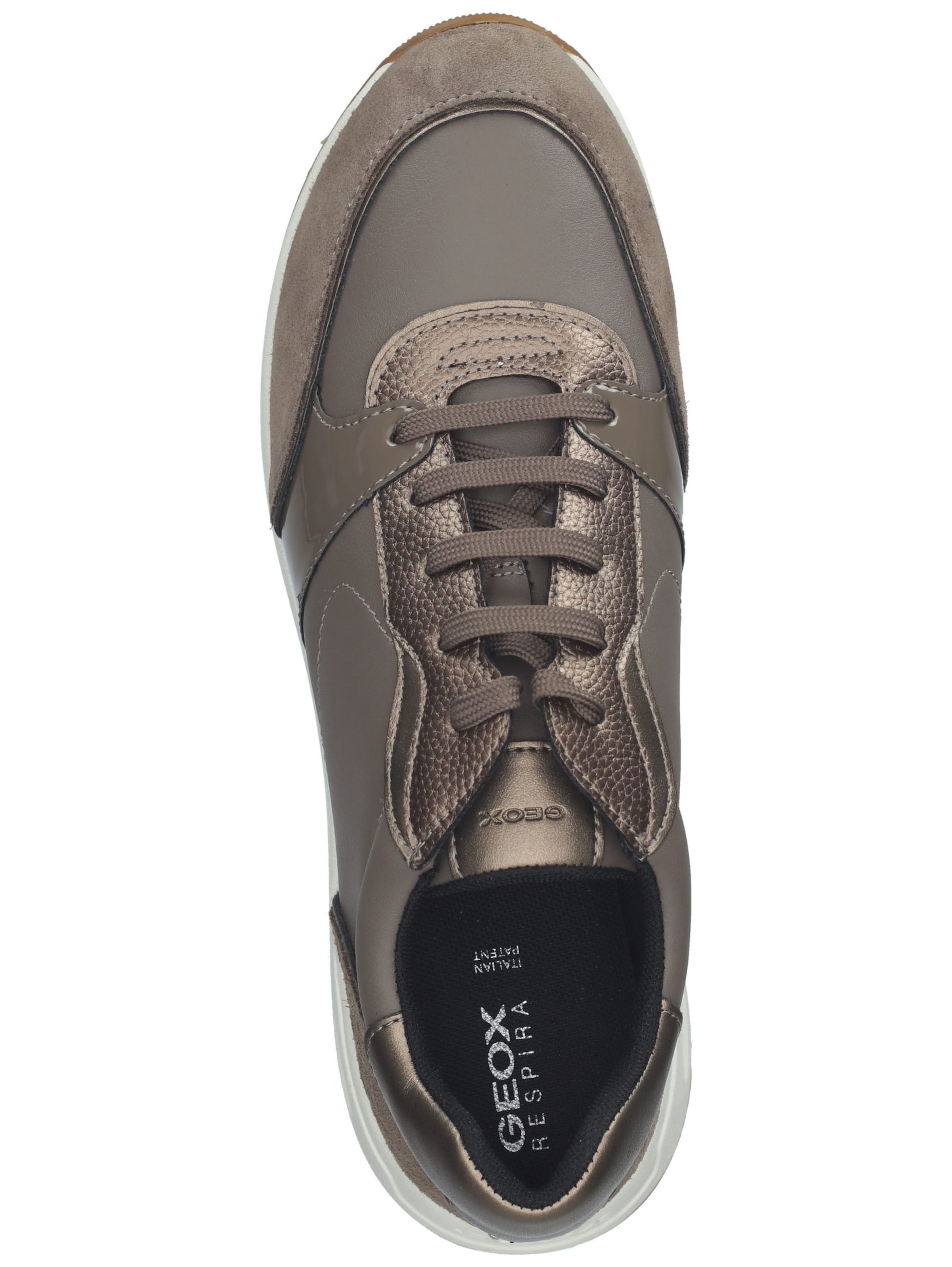 GEOX Sneakers in Brown