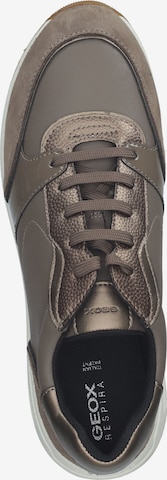 GEOX Sneakers in Brown