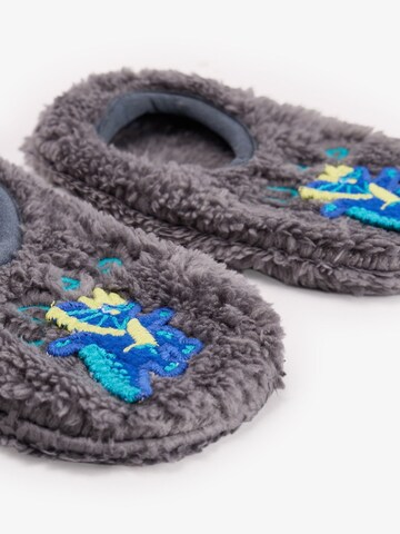 Chaussettes 'PENTI Jungen Roarsome Bootie-Hausschuhe' Penti en gris