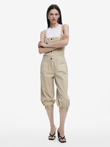 Desigual Regular Dungarees in Beige: front
