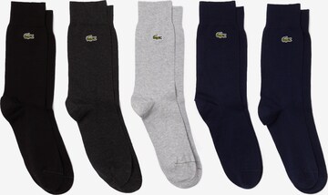 LACOSTE Ponožky – šedá