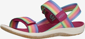 KEEN Sandals 'Elle' in Mixed colors: front