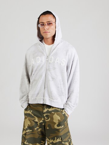 ADIDAS ORIGINALS Sweatshirt 'AOA' in Grau: Vorderseite