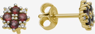 FIRETTI Earrings in Gold: front