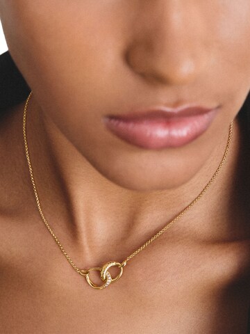 Thomas Sabo Kette in Gold: Vorderseite