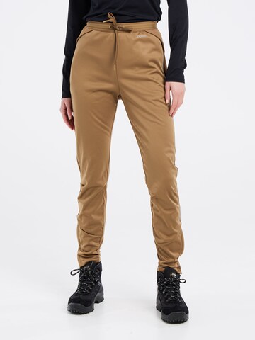 PROTEST Regular Pants 'PRTHaumea' in Brown
