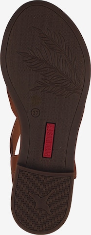 PIKOLINOS Strap Sandals in Brown