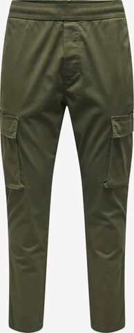 Regular Pantalon cargo 'Linus' Only & Sons en vert : devant
