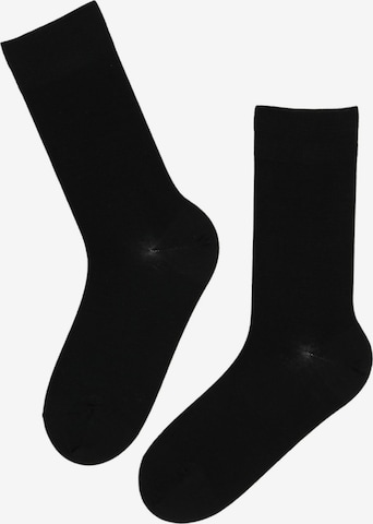 Sokisahtel - Calcetines 'HANS merino socks for men' en negro: frente