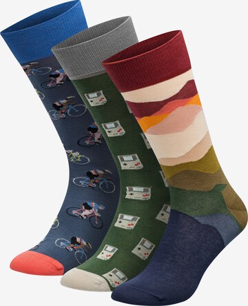 DillySocks Socks in Mixed colors: front