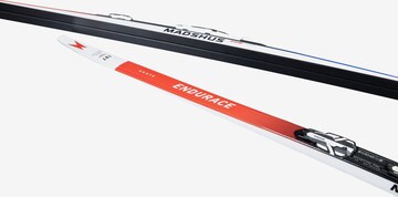 Madshus Skis in Mixed colors