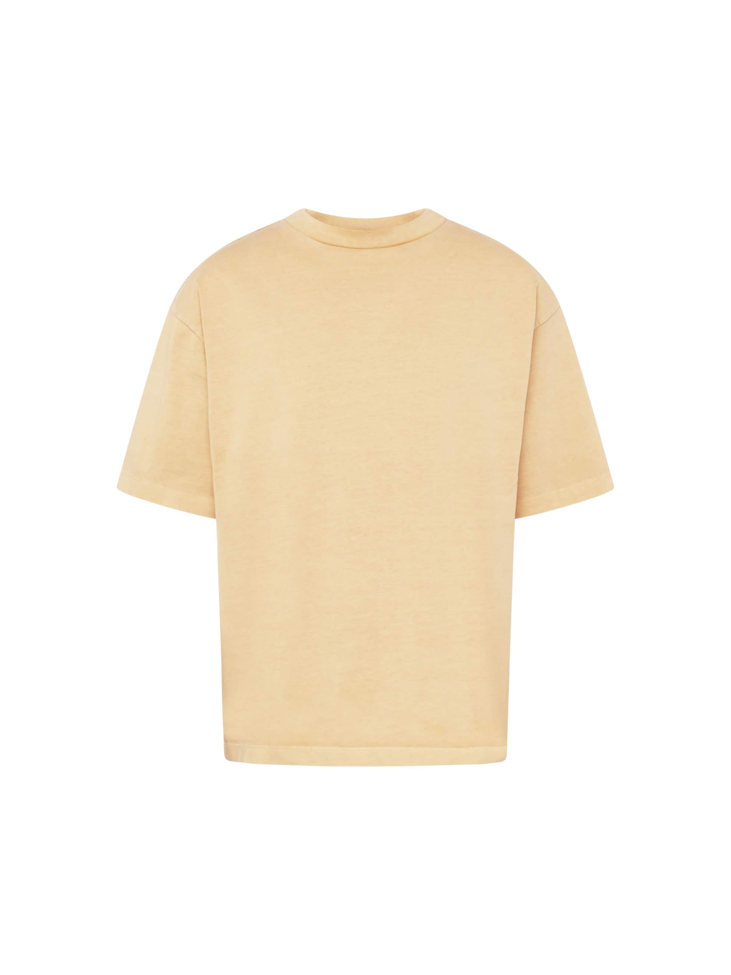 TOM TAILOR DENIM T-Shirt in Braun: Vorderseite