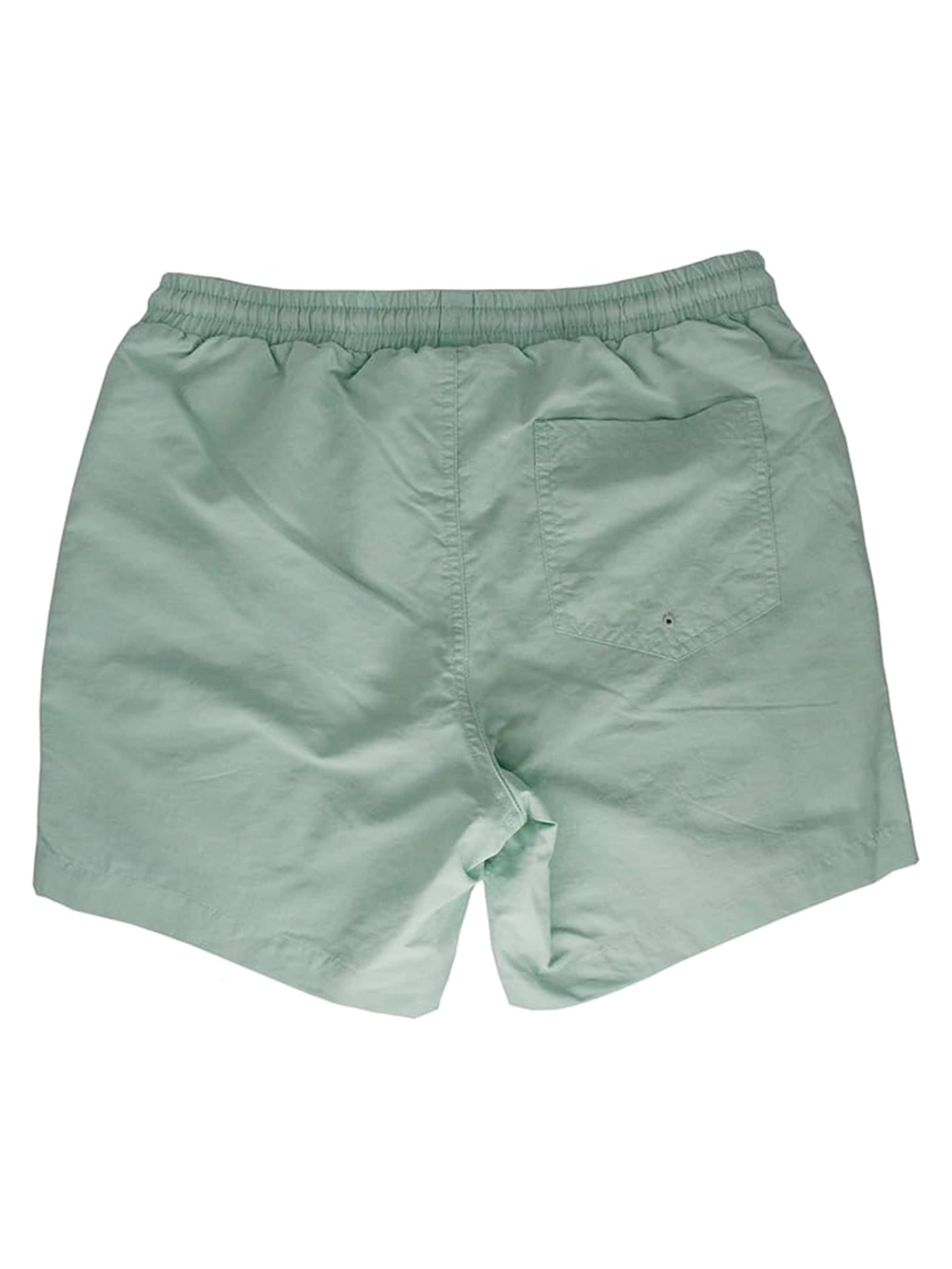 Surf Monkey Swimming Trunks in Blue