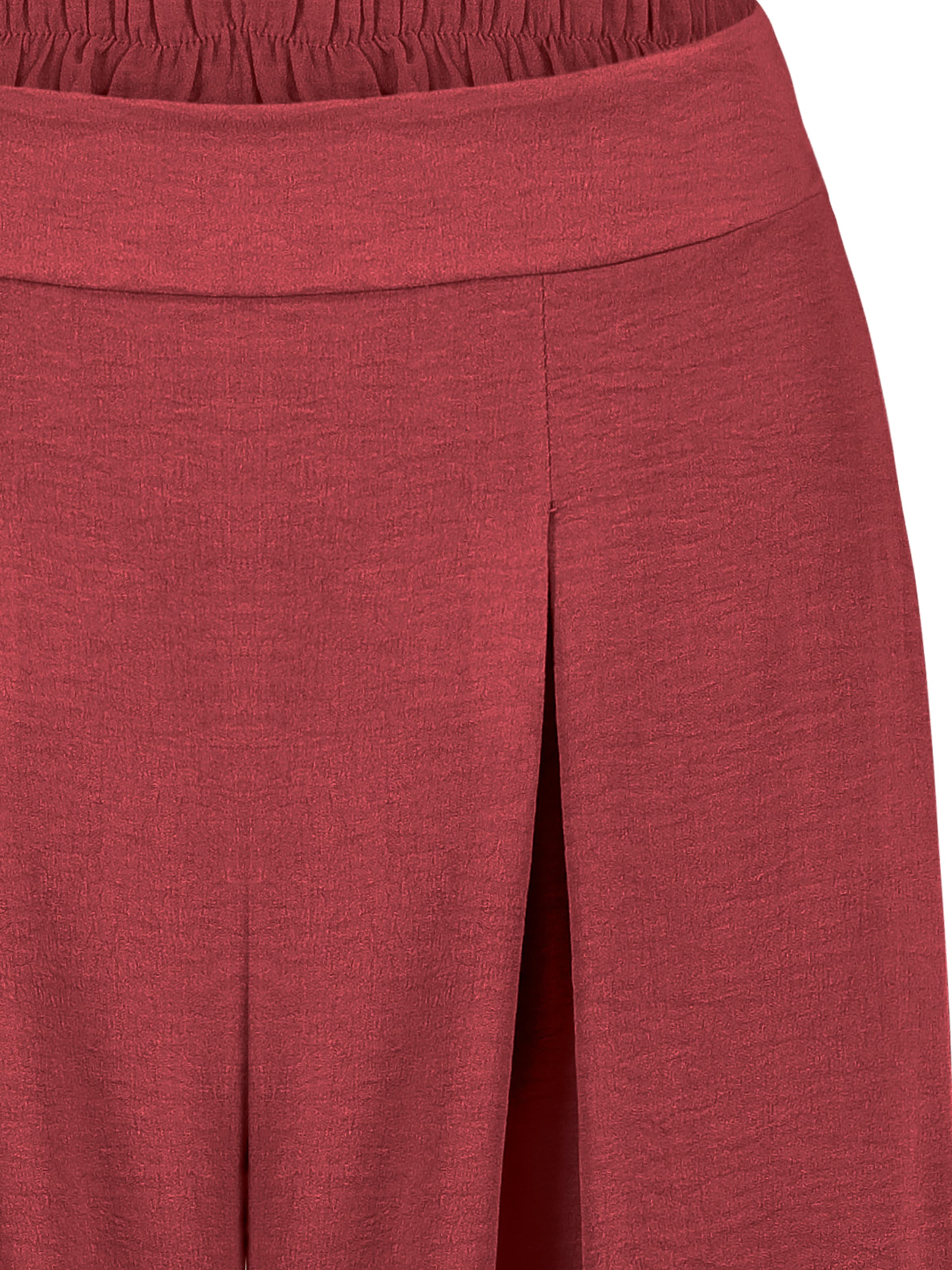 Sublevel Wide leg Pleat-Front Pants in Red